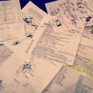 Kinesiology Study Session